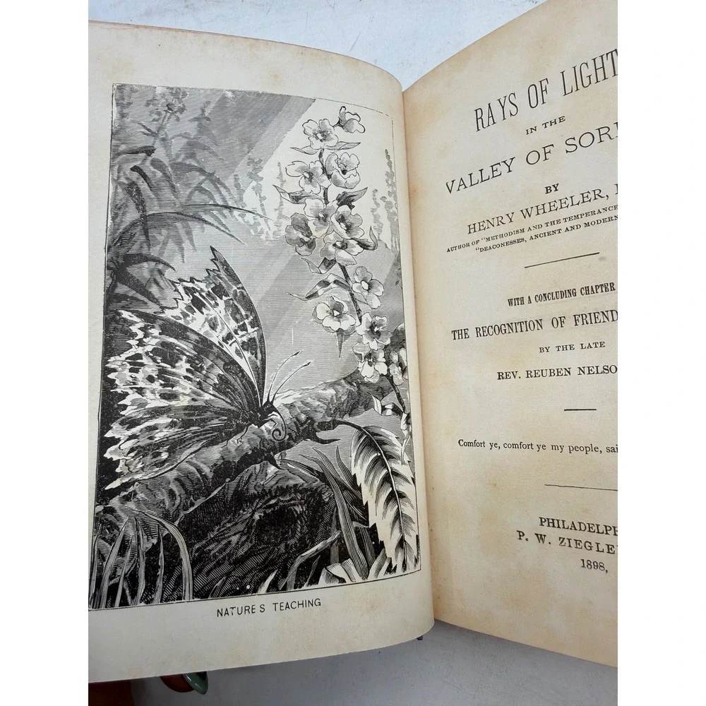 Rays of Light in the Valley of Sorrow‎ Henry Wheeler 1898 Religious Antique Book